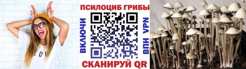 Галлюциногенные грибы Magic Shrooms  Уссурийск 
